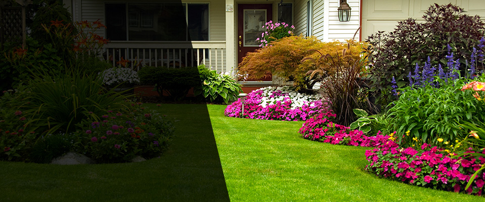 Cairo Landscapers
